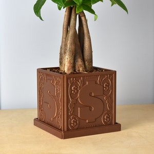 May include: A brown ceramic planter with a dollar sign design. The planter is square and has a raised base. A small green plant is growing in the planter.