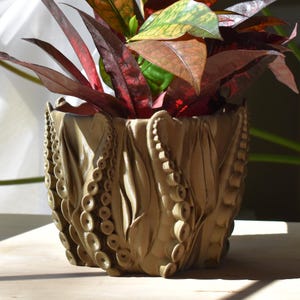 Medium Octopus Tentacles Undersea Planter, Multiple Color Options, 6-inch Pot, Indoor/Outdoor
