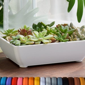Small Modern Shallow Planter