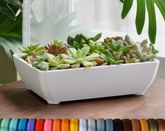 Small Modern Shallow Planter