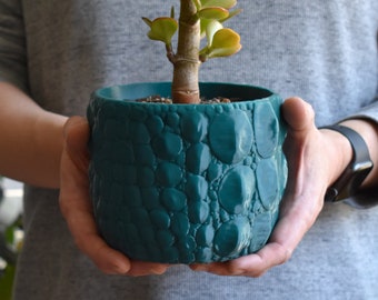 Alligator Planter, Unique Indoor Outdoor Reptile Decor, Unusual Houseplant Pot, 6-Inch, Multiple Colors