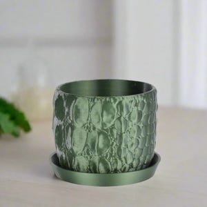 May include: A green planter with a textured, circular pattern. The planter has a matching saucer.