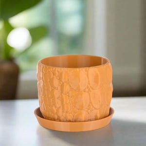 May include: A terracotta-colored ceramic planter with a textured, pebble-like design. The planter has a matching saucer.