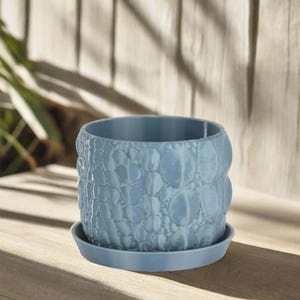May include: A light blue, textured plant pot with a matching saucer. The pot has a rounded, bumpy pattern, resembling scales. The pot is sitting on a wooden surface.