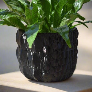 Large Alligator Reptile Planter Decor, 8-inch Pot, Indoor/Outdoor, Multiple Color Options