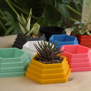 Small Hexagon Planter with Tray