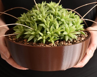 8-inch Round Shallow Succulent Planter