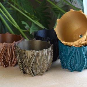 Small Octopus Tentacles Undersea Planter, Multiple Color Options, 4-inch Pot, Indoor/Outdoor
