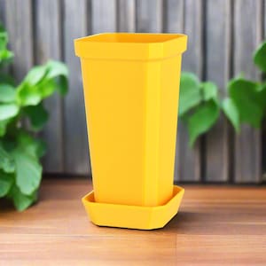 May include: A bright yellow plastic planter with a square shape and a matching saucer. The planter is designed with a slightly flared top and a straight, tall body.