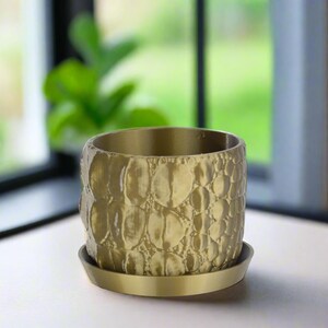 May include: A gold-colored ceramic planter with a textured, bubble-like design. The planter has a matching saucer.