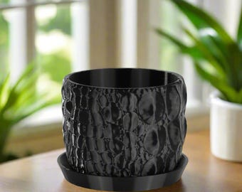Small Alligator Planter, Black, 4.5-inch Pot