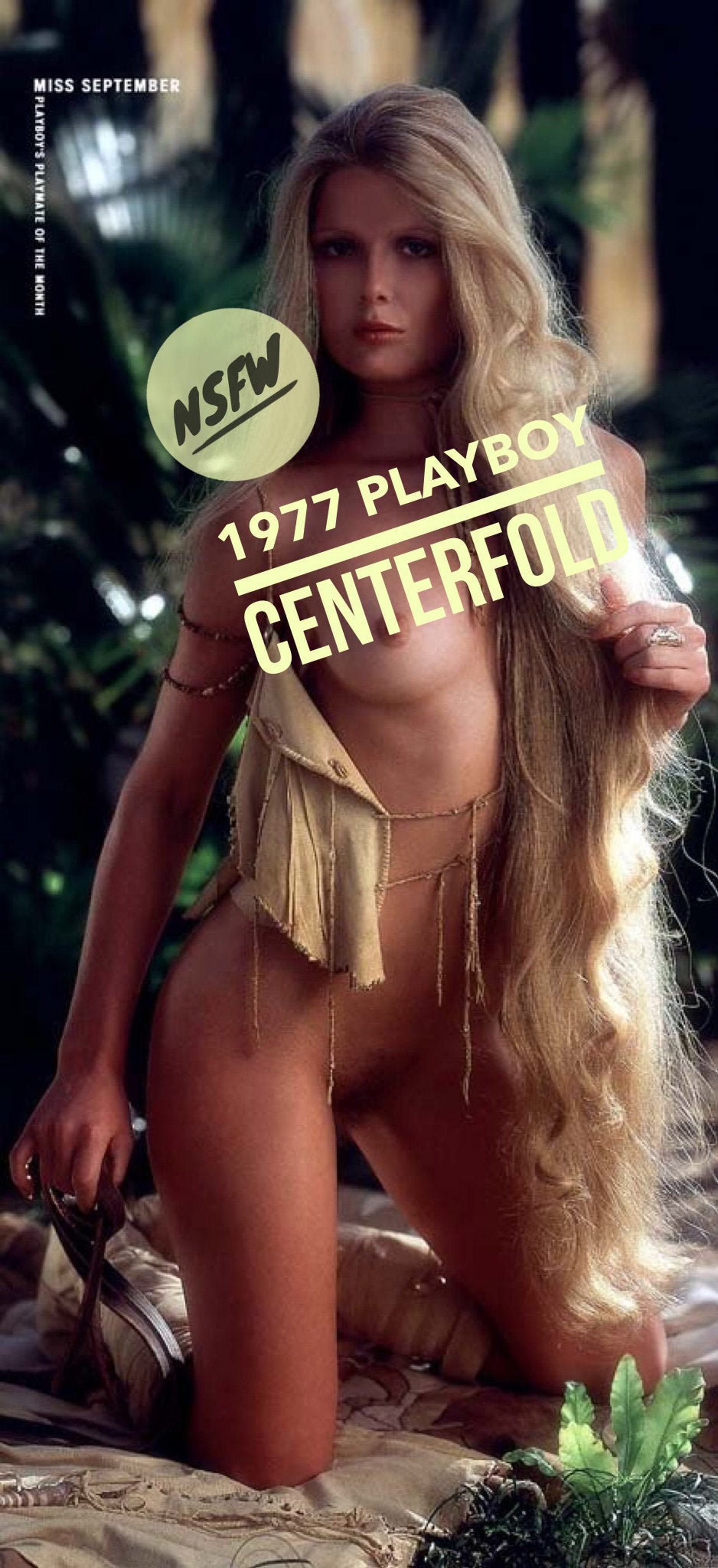1977 Playboy Centerfold Playmate of the Month Poster Vintage image 0.