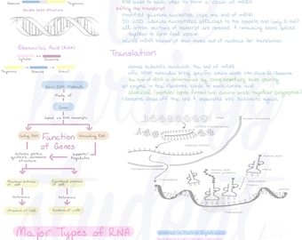 Digital Cell Growth and Development Notes