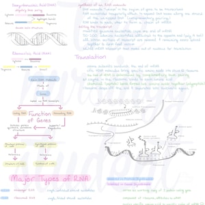 Digital Cell Growth and Development Notes