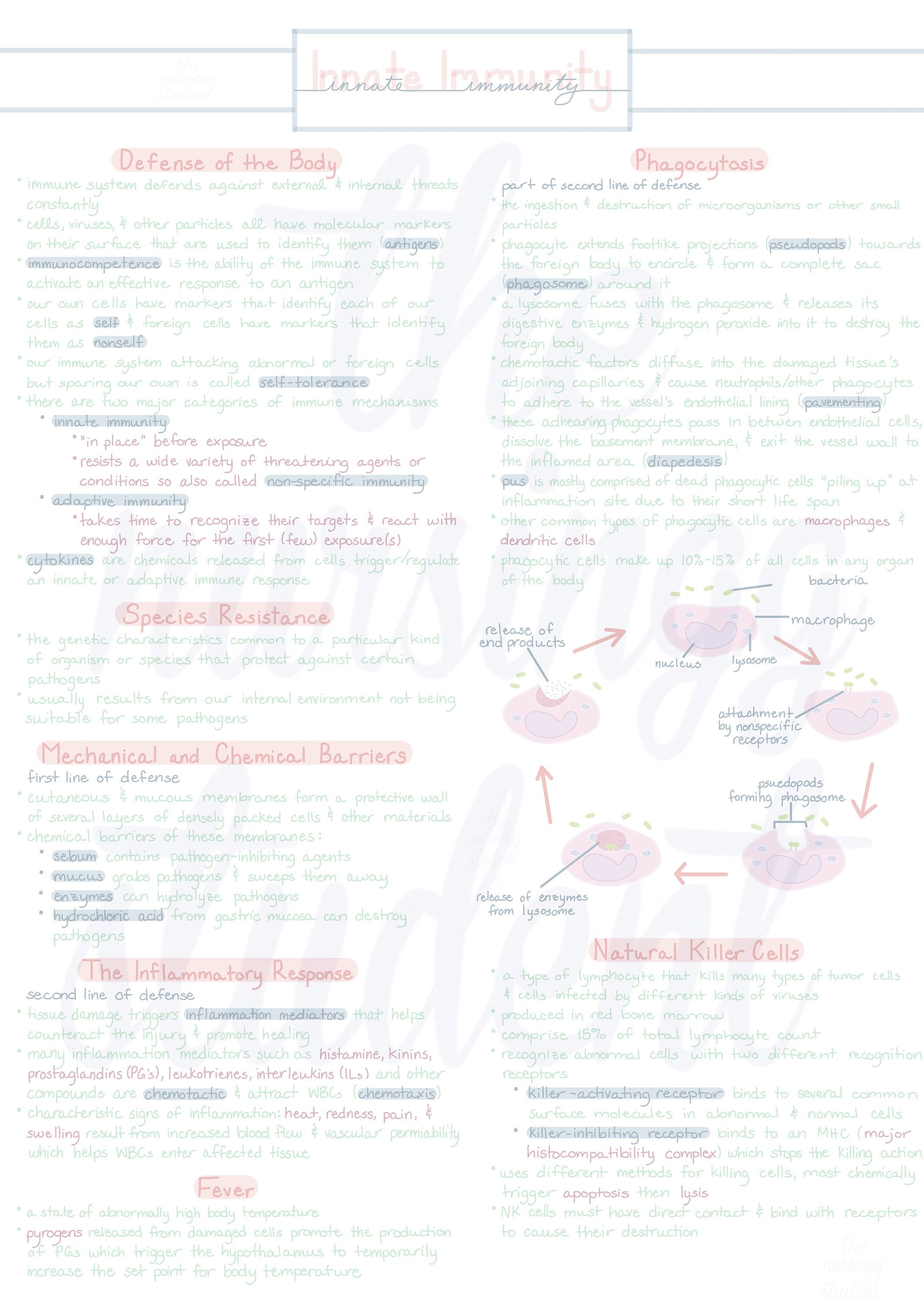 Immunity Hand Notes.pdf Digital Immunity Notes - Etsy