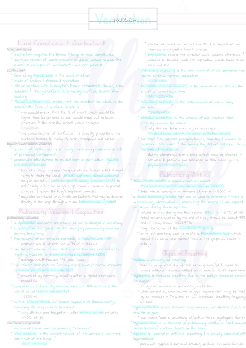 Puede incluir: Un diagrama m&eacute;dico manuscrito sobre la funci&oacute;n pulmonar, con notas sobre la compliance, los surfactantes y los tipos de respiraci&oacute;n. El texto est&aacute; en espa&ntilde;ol, con medidas m&eacute;tricas.