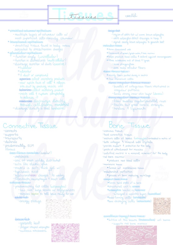Digital Tissues Notes Etsy