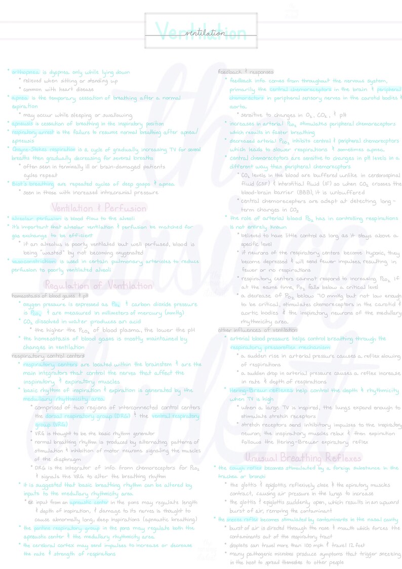 Puede incluir: Un diagrama m&eacute;dico sobre un fondo blanco, que detalla el proceso de ventilaci&oacute;n. El texto incluye t&eacute;rminos como 'apnea', 'perfusi&oacute;n' y 'centros de control respiratorio', con notas manuscritas y flechas. El diagrama es una gu&iacute;a de estudio para estudiantes de medicina.