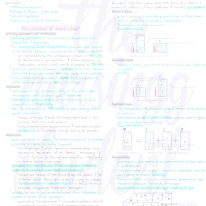 Könnte beinhalten: Ein handgeschriebenes Lehrdiagramm zur Atemphysiologie und den Gasgesetzen. Der Text enthält Erklärungen zur Ventilation, Inspiration, Exspiration und verschiedenen Gasgesetzen mit begleitenden Illustrationen. Das Diagramm ist in blauer und violetter Tinte.