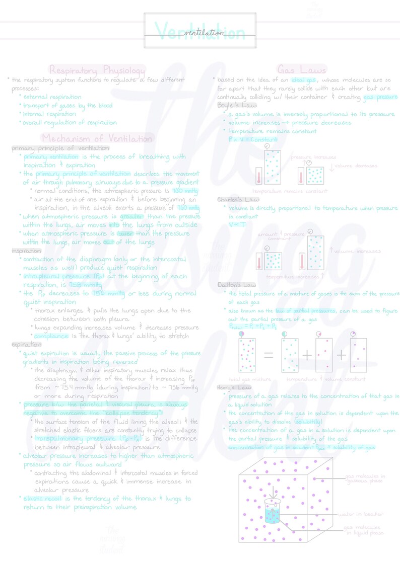 Puede incluir: Un diagrama educativo manuscrito sobre fisiolog&iacute;a respiratoria y leyes de los gases. El texto incluye explicaciones sobre ventilaci&oacute;n, inspiraci&oacute;n, espiraci&oacute;n y varias leyes de los gases con ilustraciones adjuntas. El diagrama est&aacute; en tinta azul y morada.