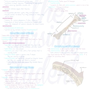 May include: Anatomy diagram of skeletal tissues and articulations. The image includes labeled illustrations of bone structure, including long bones, flat bones, and bone tissue. Text explains bone functions and composition.