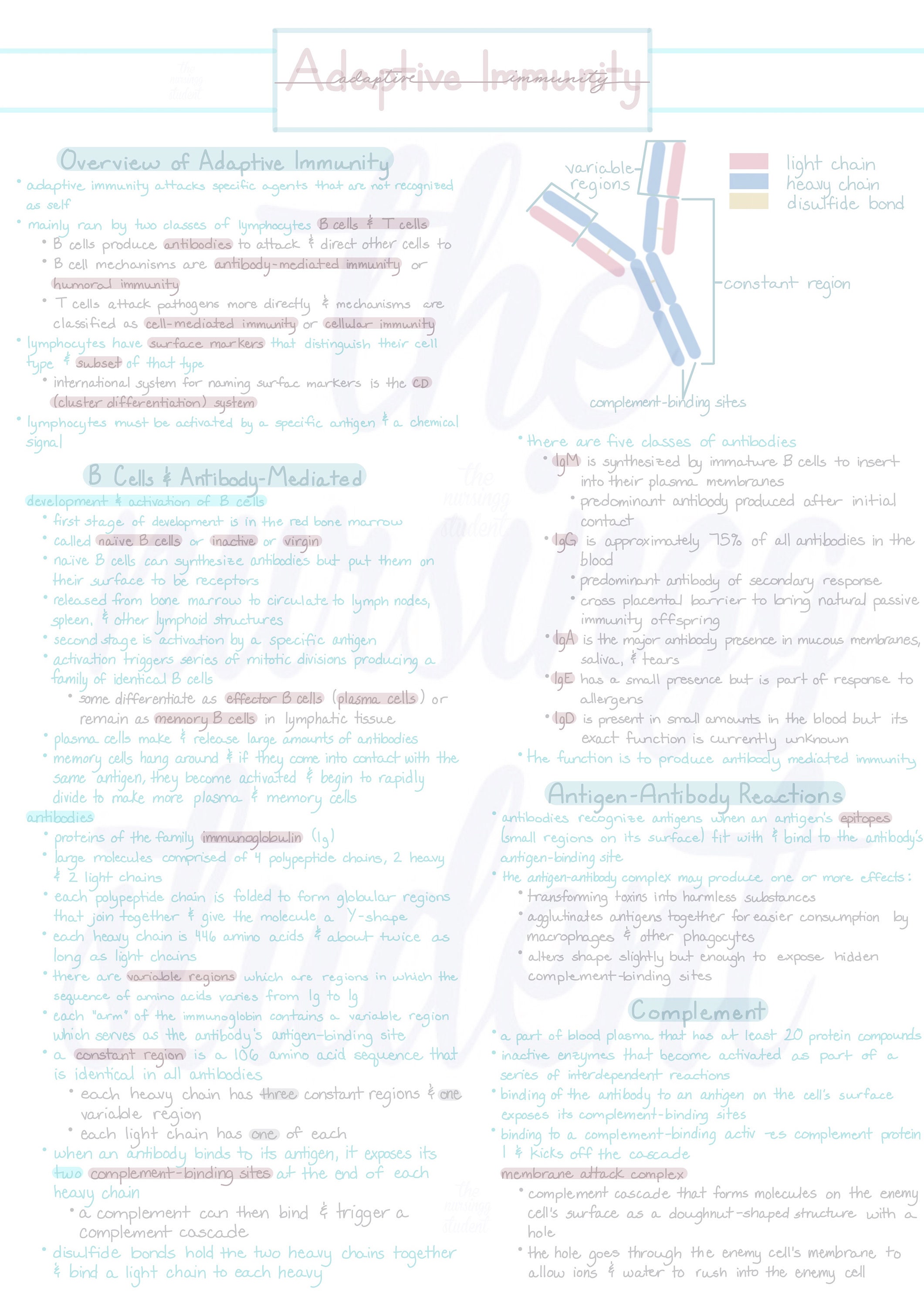 Immunity Hand Notes.pdf Digital Immunity Notes - Etsy