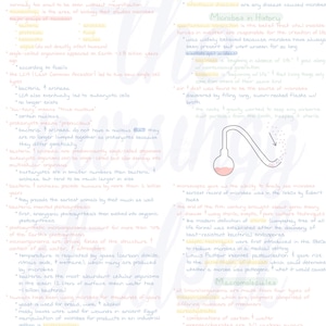 Digital Intro to Microbes Notes