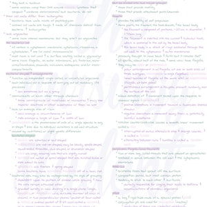 Digital Bacteria & Archaea Notes