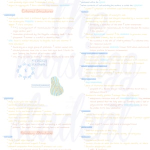 Digital Eukaryotic Cells and Microorganisms Notes