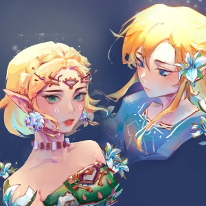 anime zelda breath of the wild discount