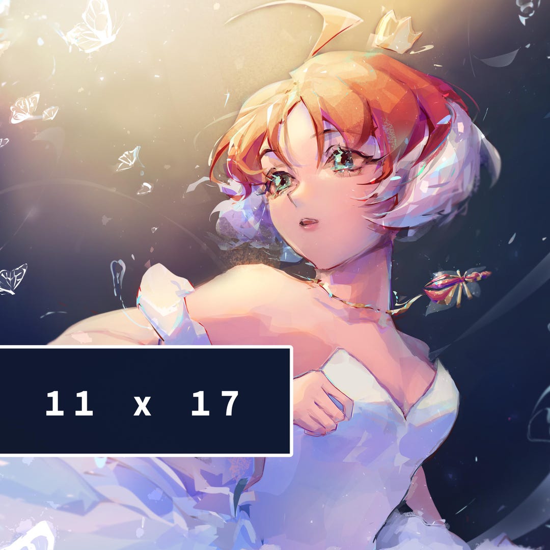 11x17 Princess Tutu Print - Etsy
