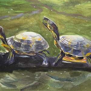 Original Turtle Art - Etsy