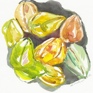 Carambola (Starfruit), Original Matted Watercolor Painting