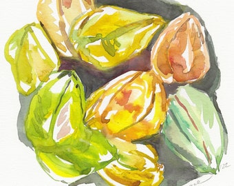 Carambola (Starfruit), Original Matted Watercolor Painting