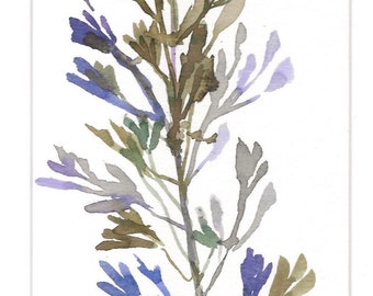 Desert Sage,  Matted Watercolor Print