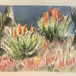 Catalina Aloes II, Original Matted Watercolor Painting
