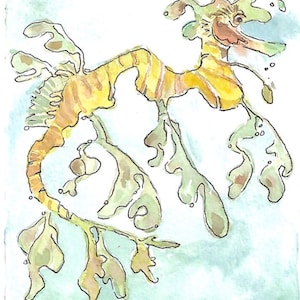 Leafy Sea Dragon, Original Small Watercolor Painting
