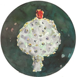 May include: A watercolor painting of a prickly pear cactus with a red flower on top. The cactus is painted in shades of green, white, and yellow, and the background is a dark green.