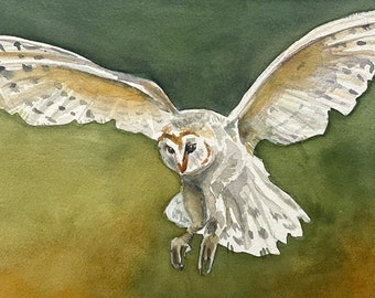 Barn Owl Flying, Original Watercolor Painting, 2023