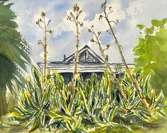 Road to the Lodge, with Aloes, Banning House Historic Lodge Watercolor Painting with Mat, Two Harbors, Catalina, CA 2024