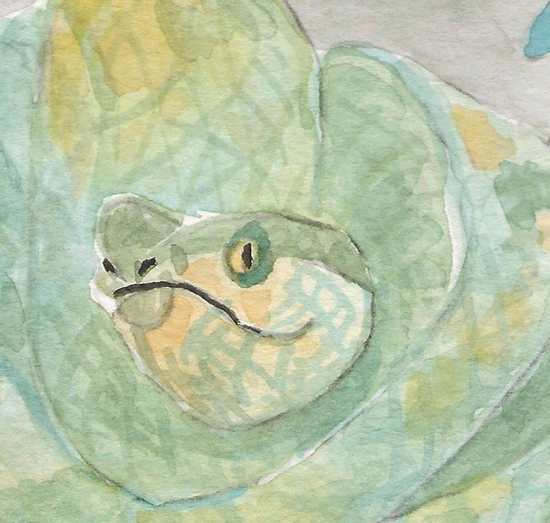 Green Snake Watercolor dexis-iberica Watercolor Art & Collectibles