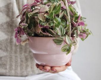 Light pink hanging planter indoor, Wall planter, Ceramic flower pot, Plant hanger, Plant pot, Air plant holder, White hanging planter