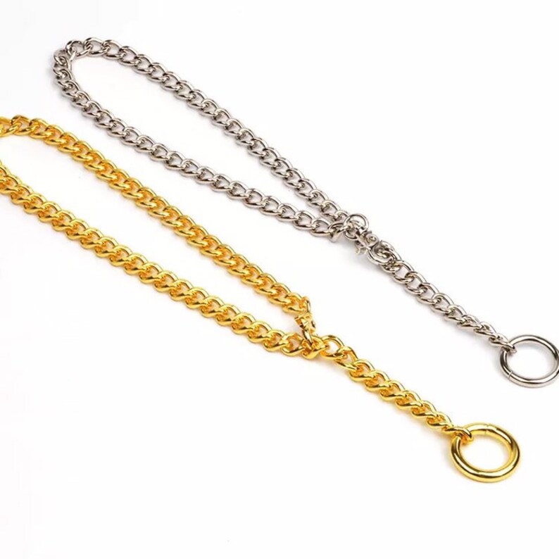 O Ring Chain Choker Necklace