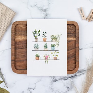 Postkarte Pflanzen | Blumengruß| Grußkarte | Geschenkkarte | Dekoration | DIN A6