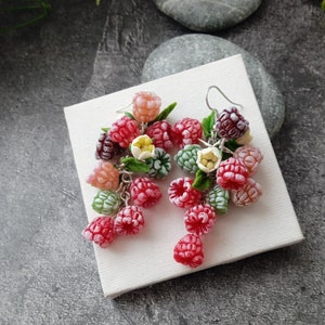 Earrings ripe unripe Raspberry Polymer clay Berries Birthday accessories Mother's Day gift for woman Gift for her Berry earrings