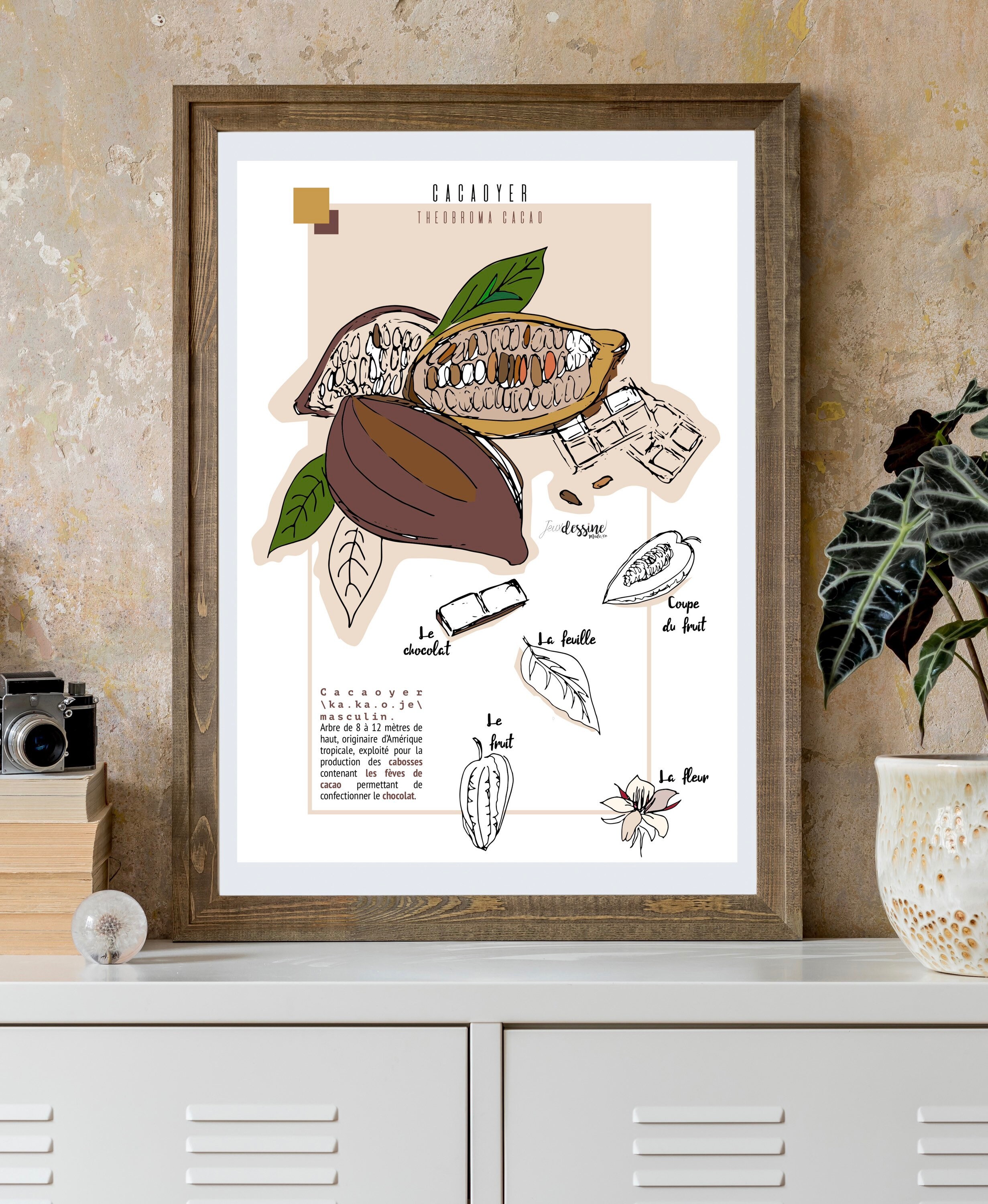 Affiche Cacaoyer