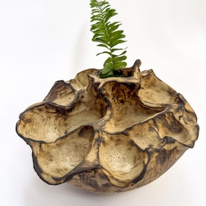 Op de afbeelding: Een handgevormd keramieken object met een poreuze, beige en donkerbruin gevlekte afwerking. Het voorwerp heeft meerdere diepe, ronde inkepingen over het oppervlak, die doen denken aan een zaaddoos, met een enkele groene varenblad in het midden.