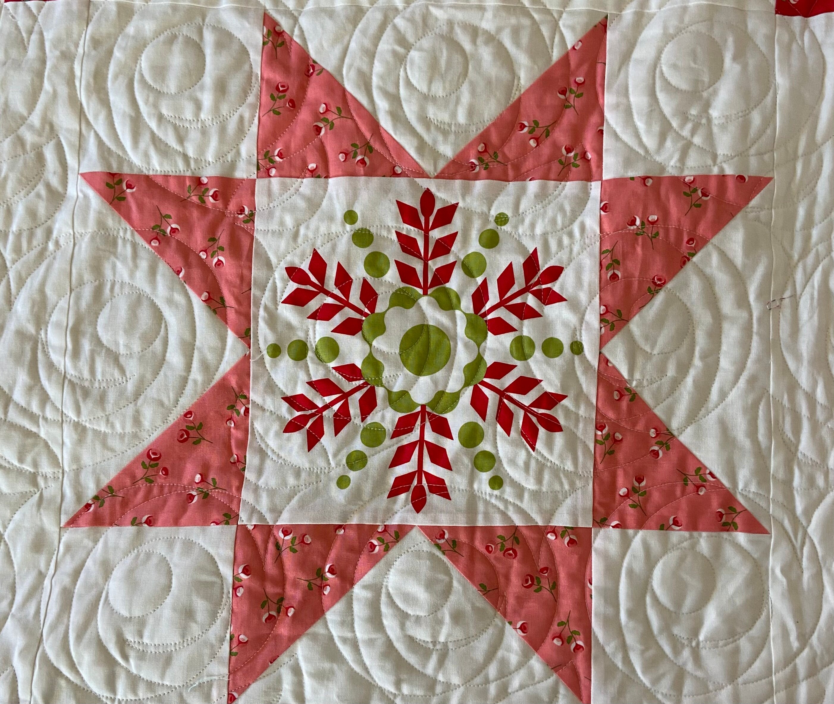 Beautiful Day Quilt Queen Size Quilt Corey Yoder Etsy