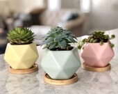 Mini Ceramic Unique Succulent Planter Cute Small Bamboo Tray Flower Pot With Drainage Hole Set Of 3