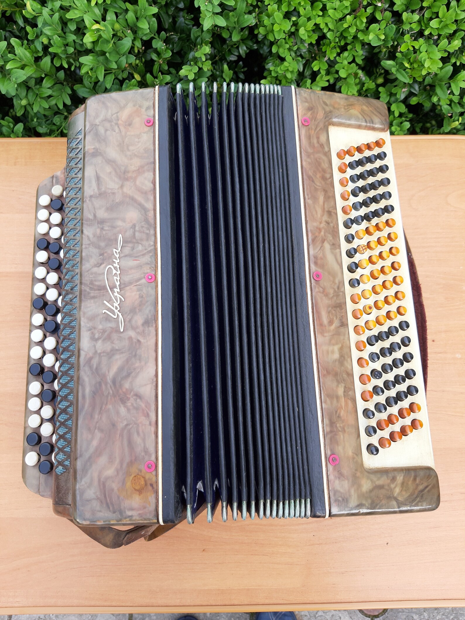 Soviet Ukraine Garmon Button Accordion Harmonica USSR Etsy